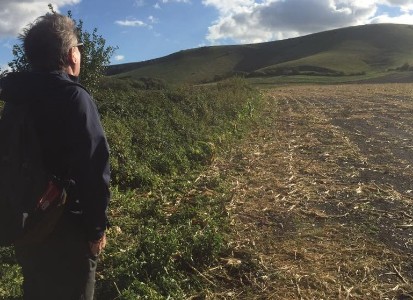 Pierce Turner Seeking refuge from seagulls on the South Downs